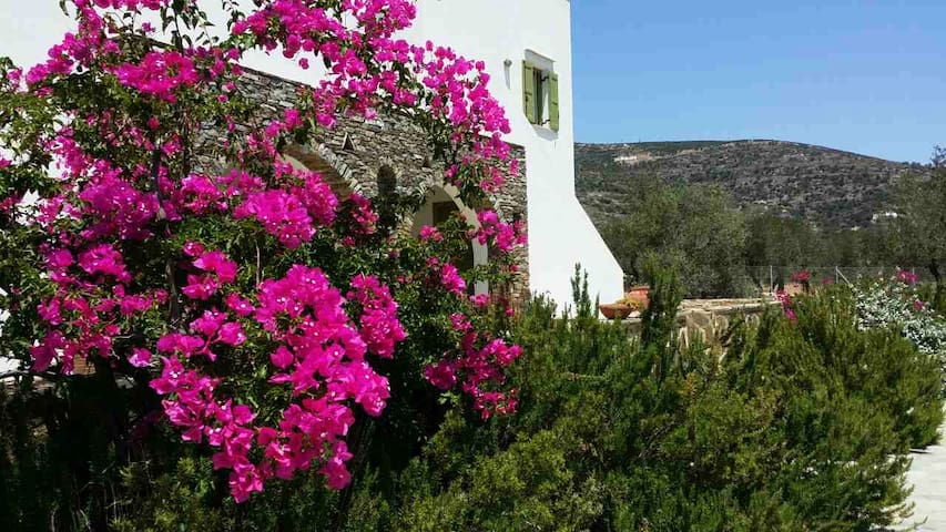 Sifnos-Apollonia-Platis yialos的民宿