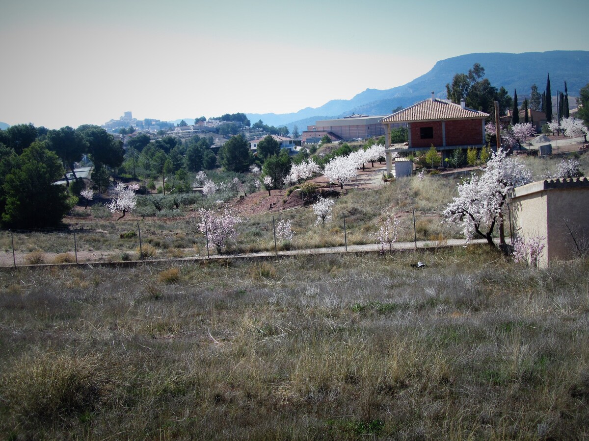 La Cañaíca - Casa rural Aledo