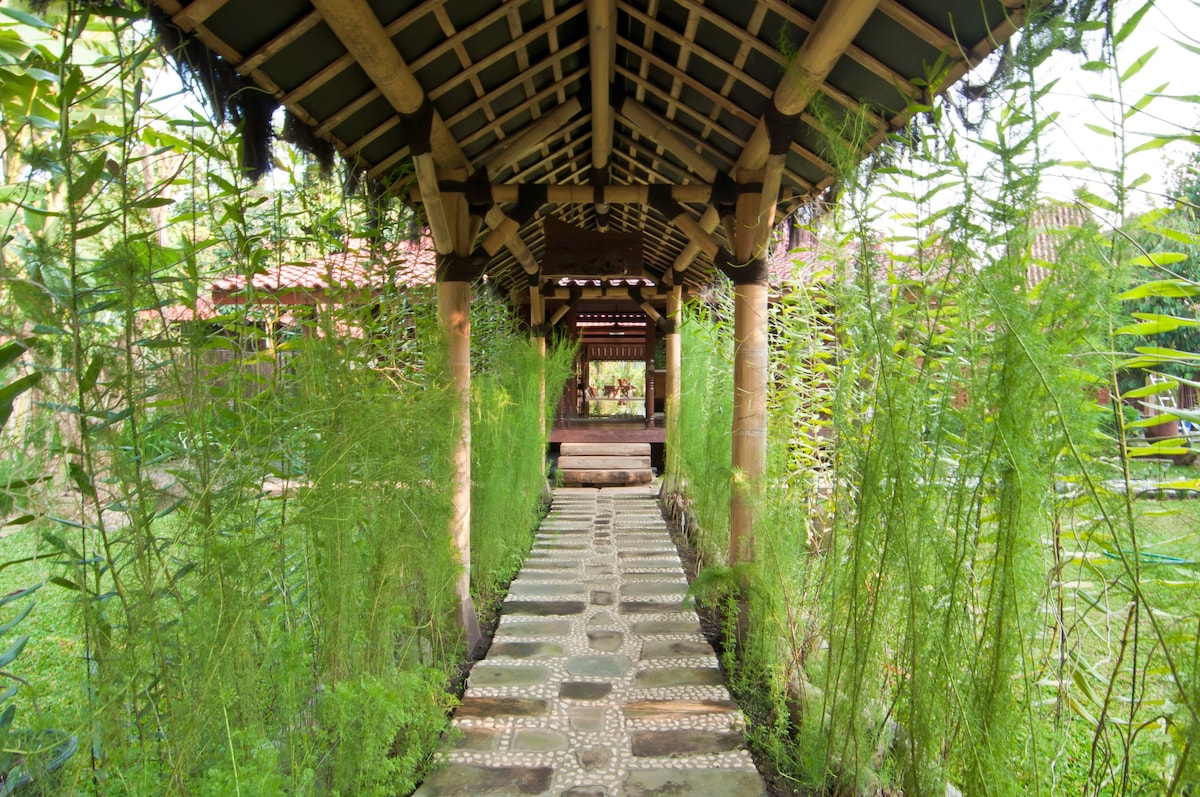 豪华单人婆罗浮都寺