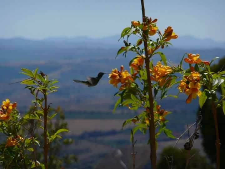 No centro, vista para o Pôr do Sol até 12 pessoas