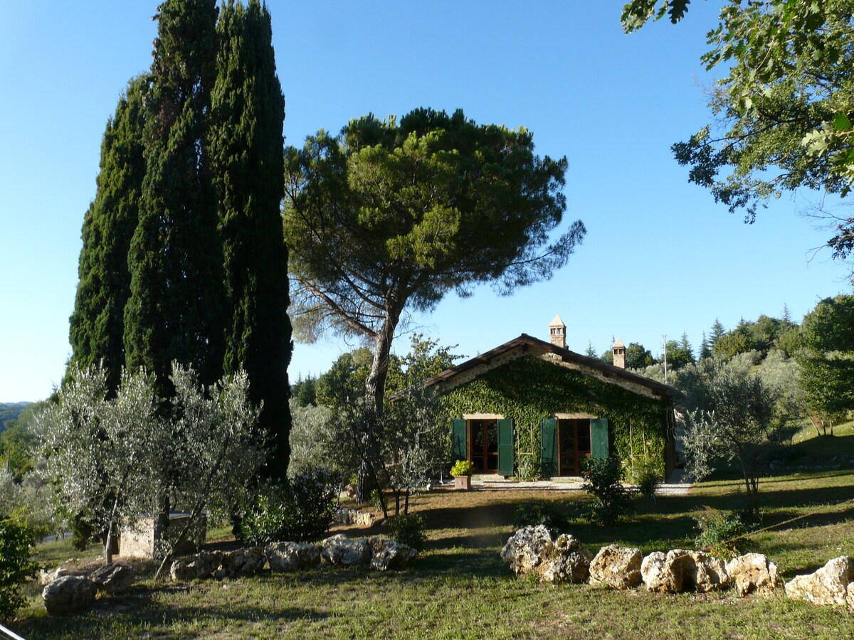 "Il pino" – Gorgeous country villa with pool
