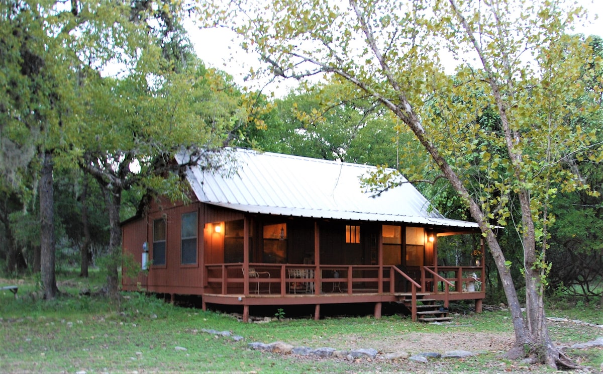 森林中的山地乡村小屋