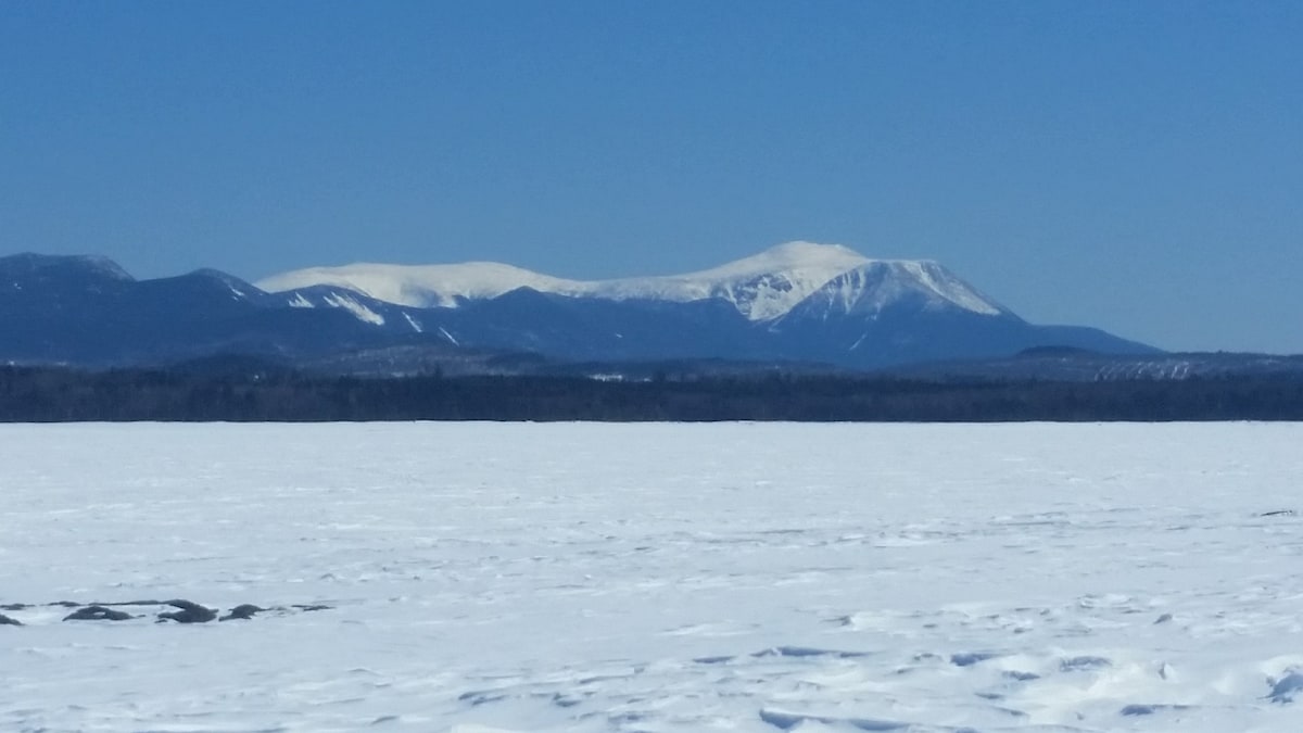 Tufts Pond Pelo