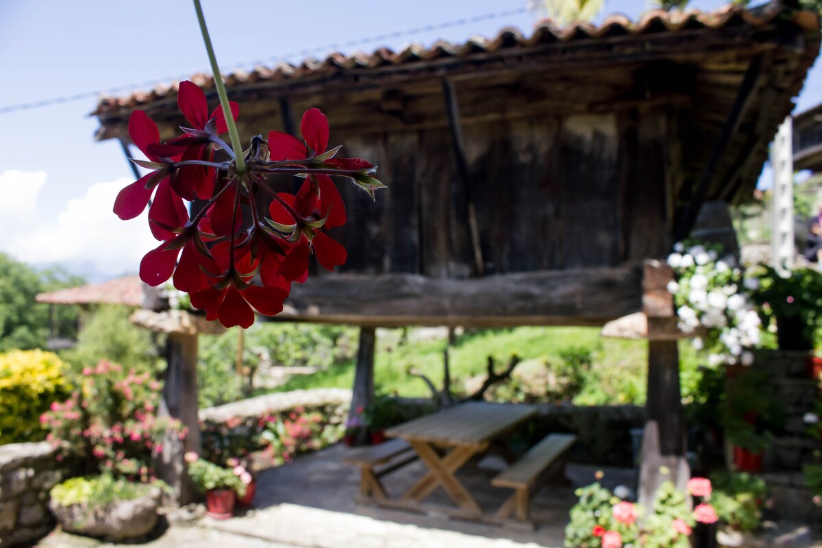 Casa rural LaTata Cabielles Cangas d Onís Asturias