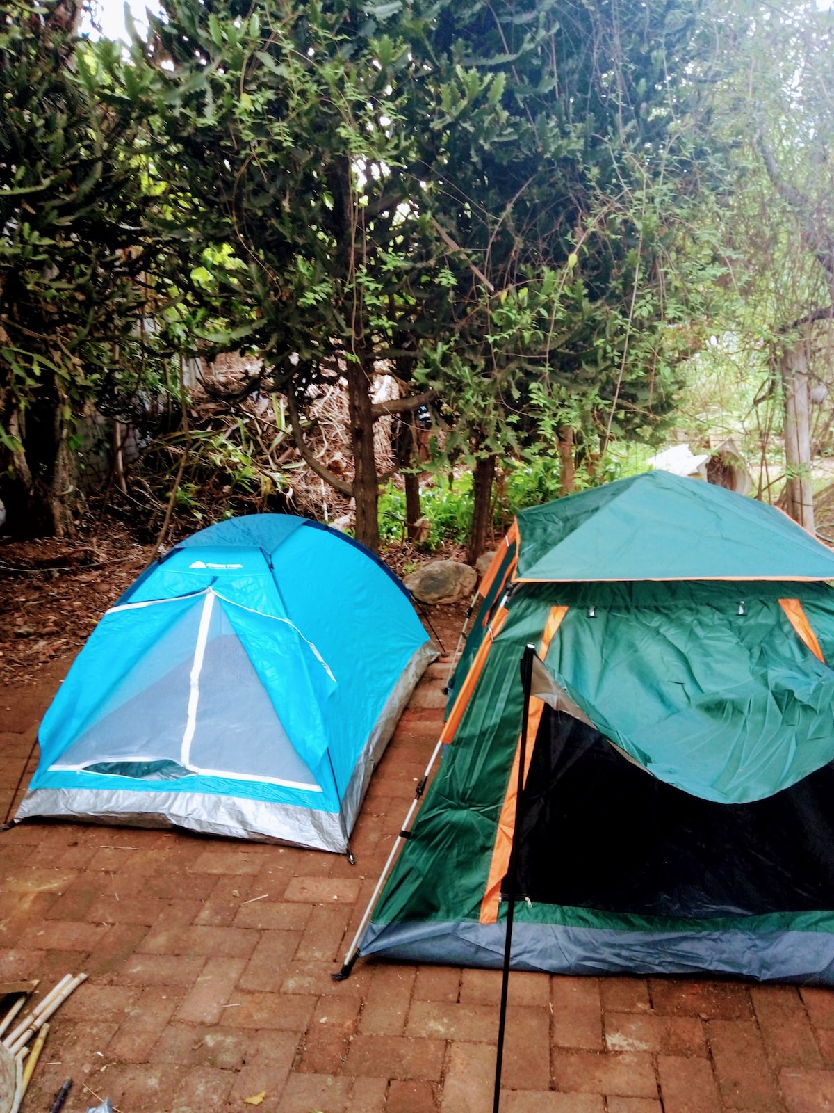 camping El gato chillón