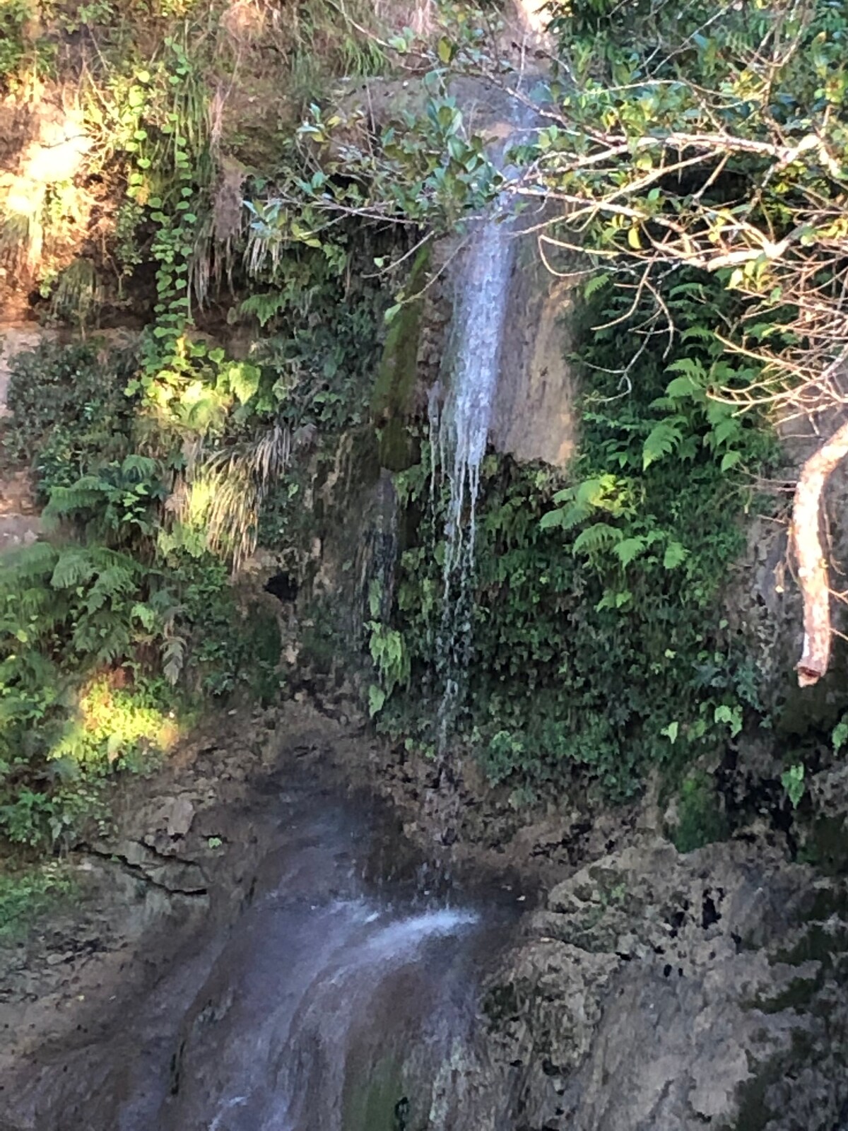 Hostal Colinas Del Tanama,  Puerto Rico