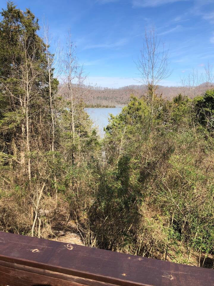 Eagle's Nest Cottage on Center Hill Lake