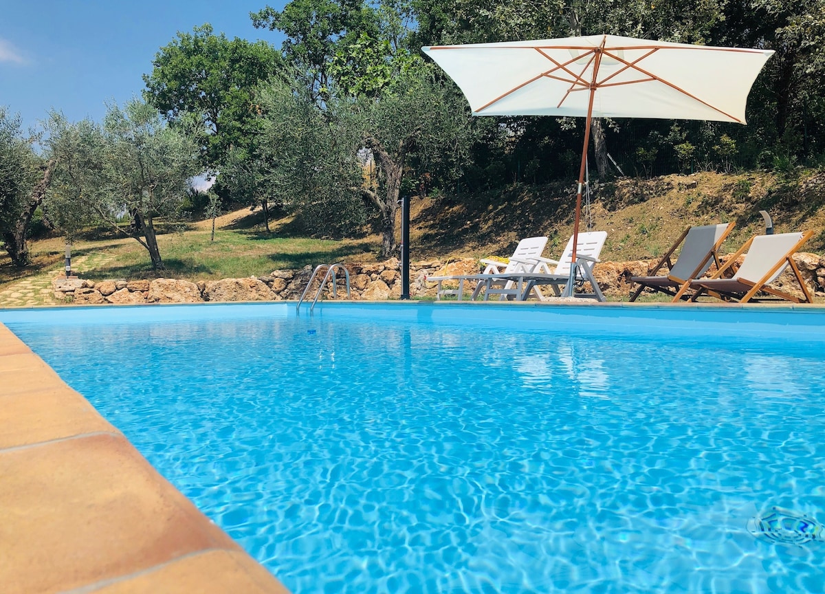 Villa with view, large pool and olives
