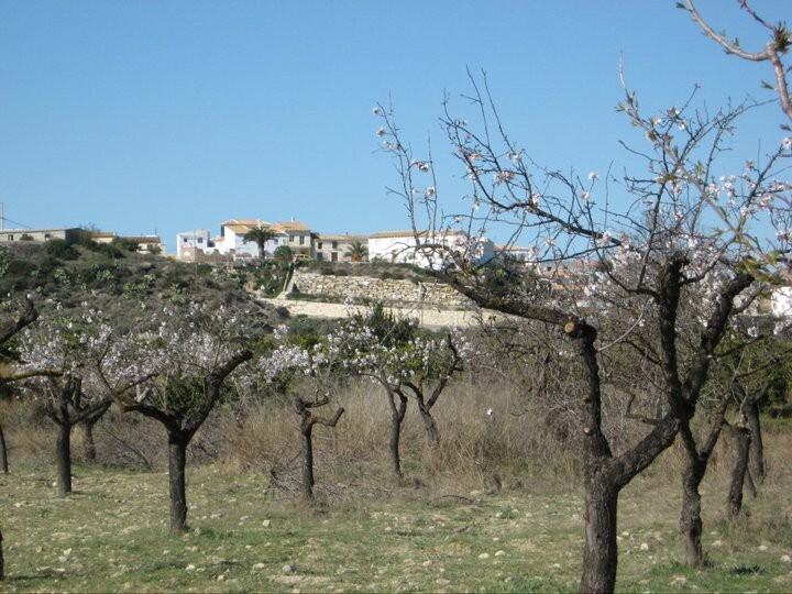 Casa Montes Guesthouse & SOL Yoga Centre