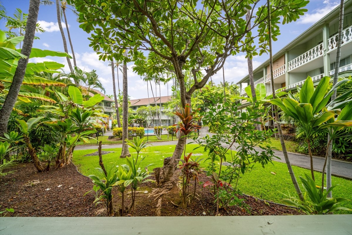 位于科纳镇（ Kona Town ）的空调海滨宝石！