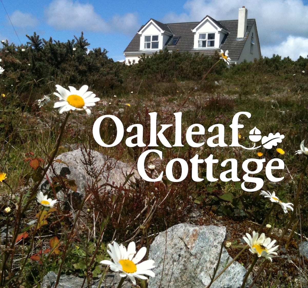 美丽的Oakleaf Cottage ，西港，可住10人