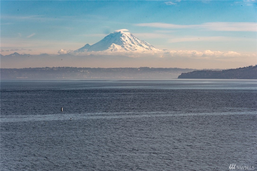 滨瓦雄岛（ Vashon Island ）海滨（ Vashon Island ） ，欣赏雷尼尔山