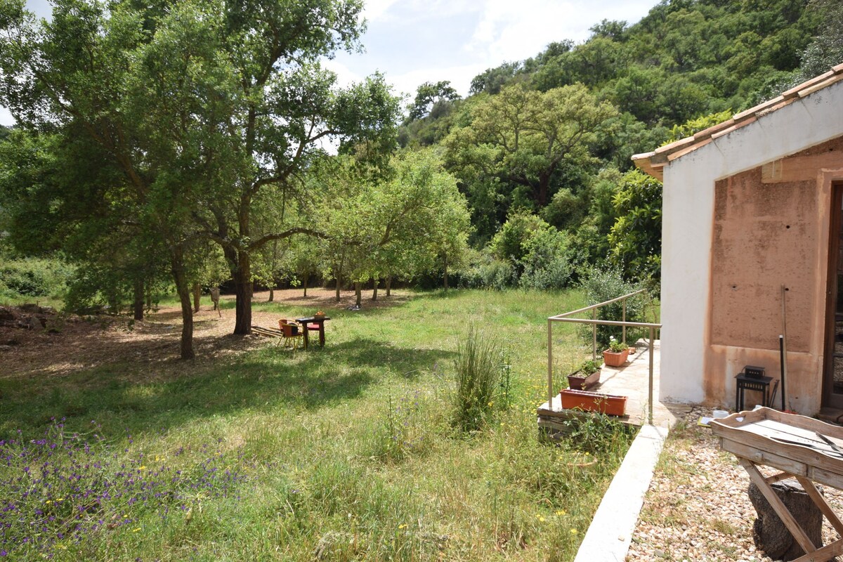 安静的小屋Casas da Cerca ，靠近Troviscais