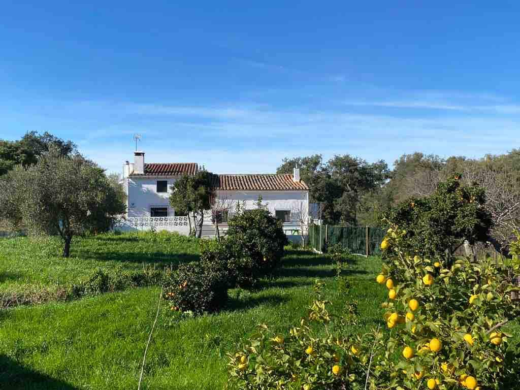 Vivienda Rural Los Ojalvos.