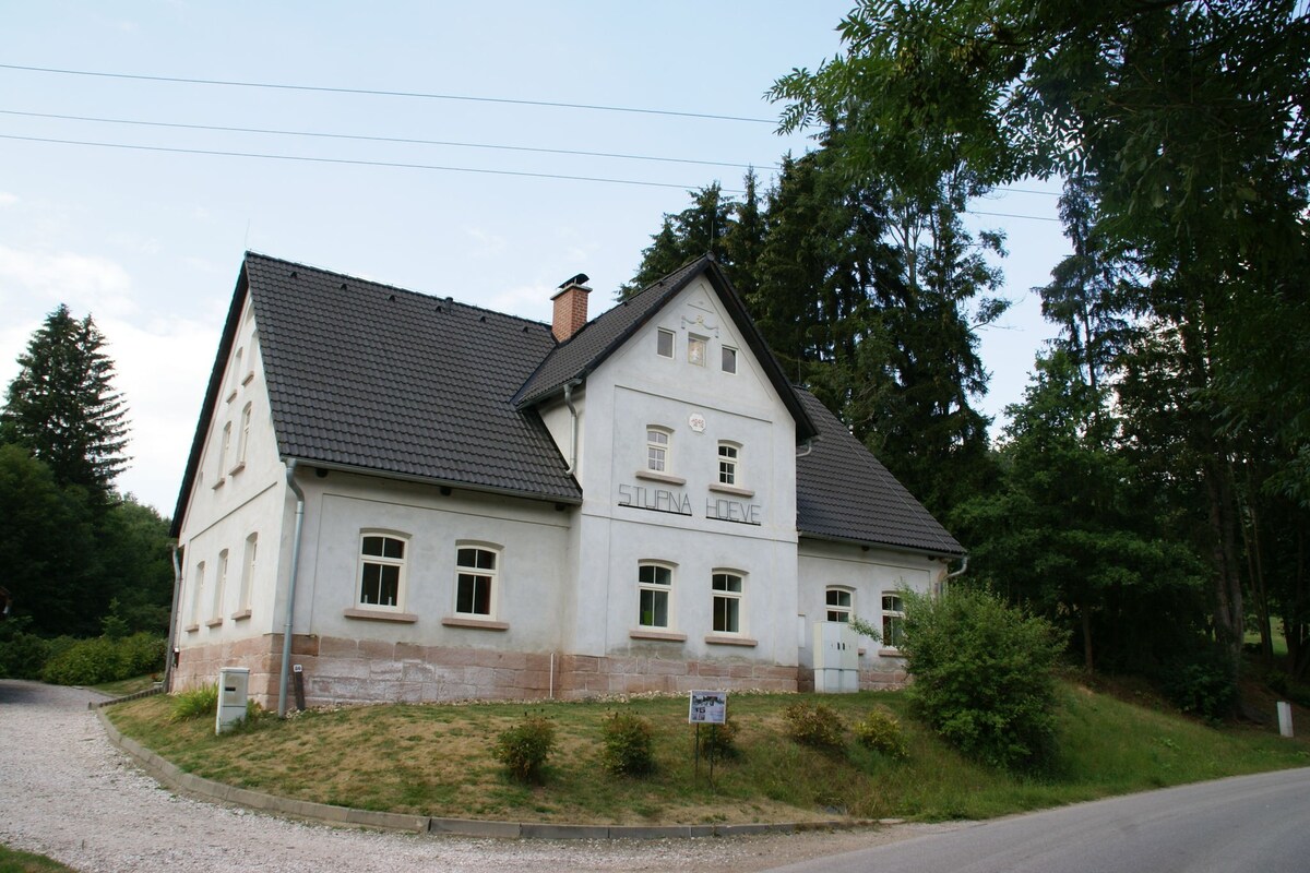 Modern Apartment in Vidochov with Swimming Pool