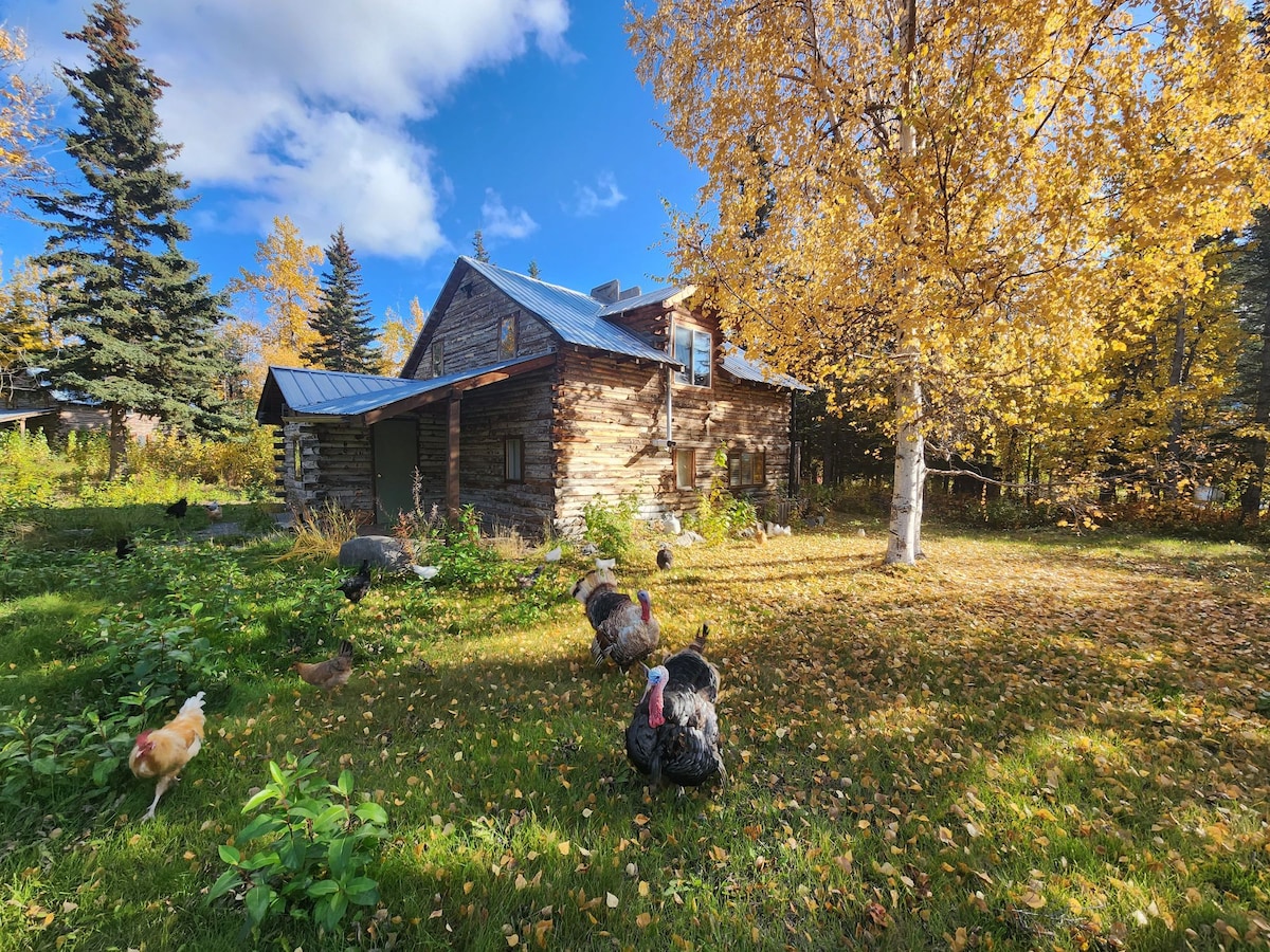 Trapper Cabin: Dog Friendly