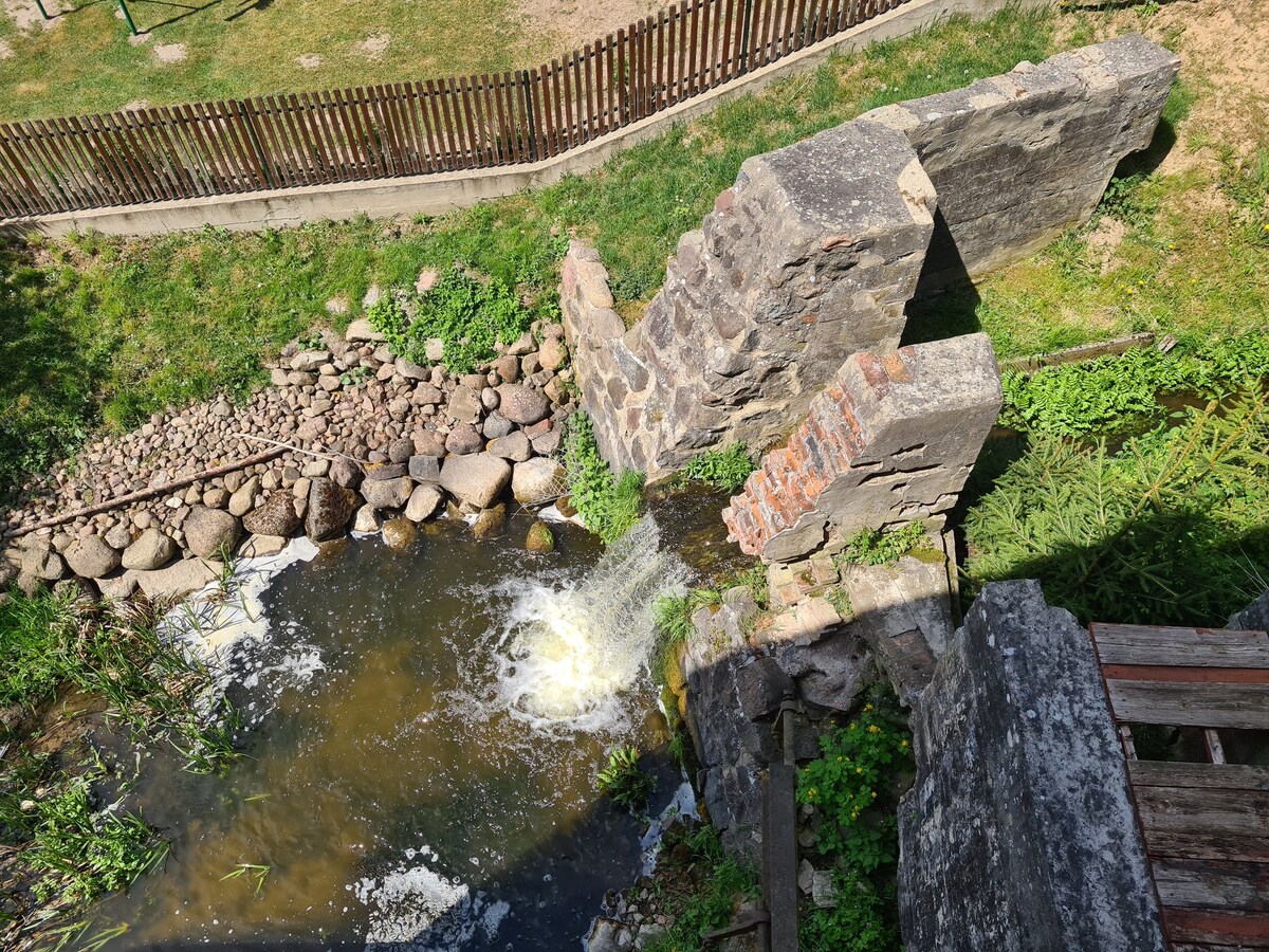 Stary Młyn w lesie, Alte Mühle im Wald, Old mill