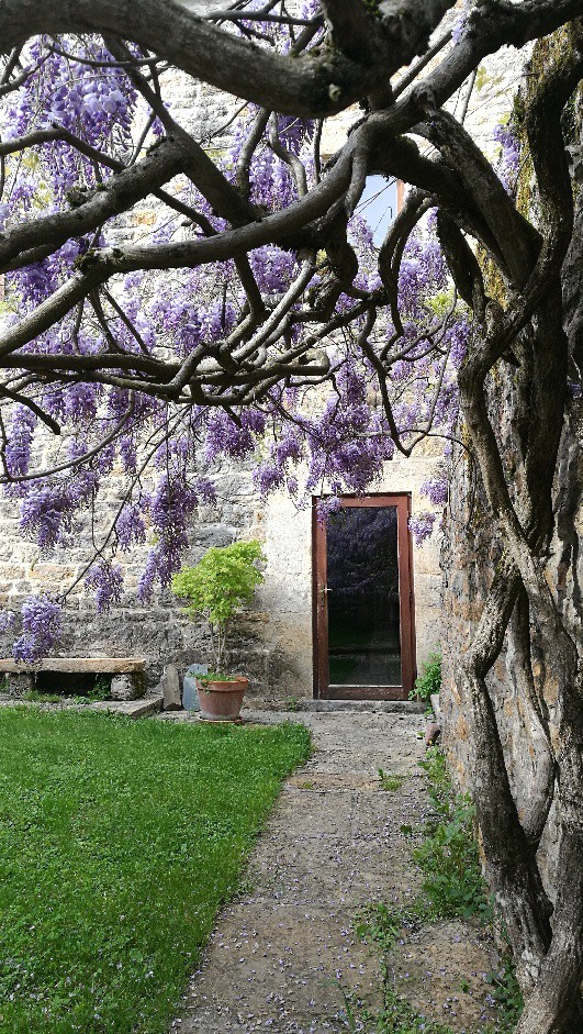 LE 1 Duplex cosy sous la voûte