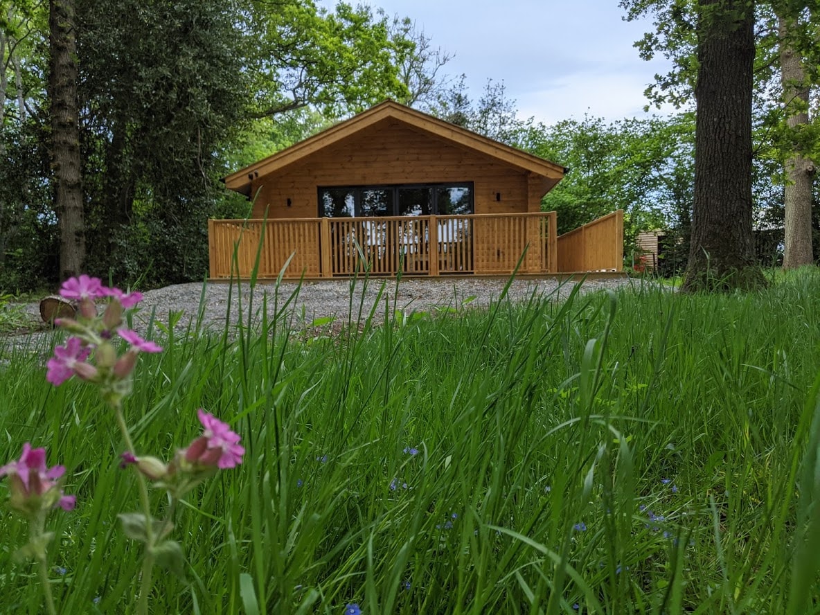 位于西萨塞克斯郡的Holly Lodge ，靠近布莱顿