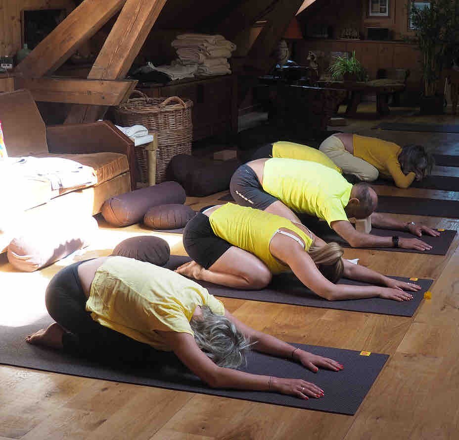 Ohm Yoga Retreat