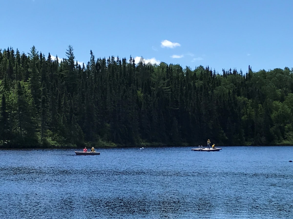 Entre l'eau et les arbres