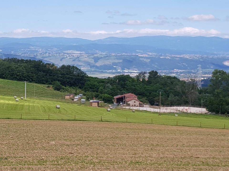 Drôme des Collines农场的迷人小屋