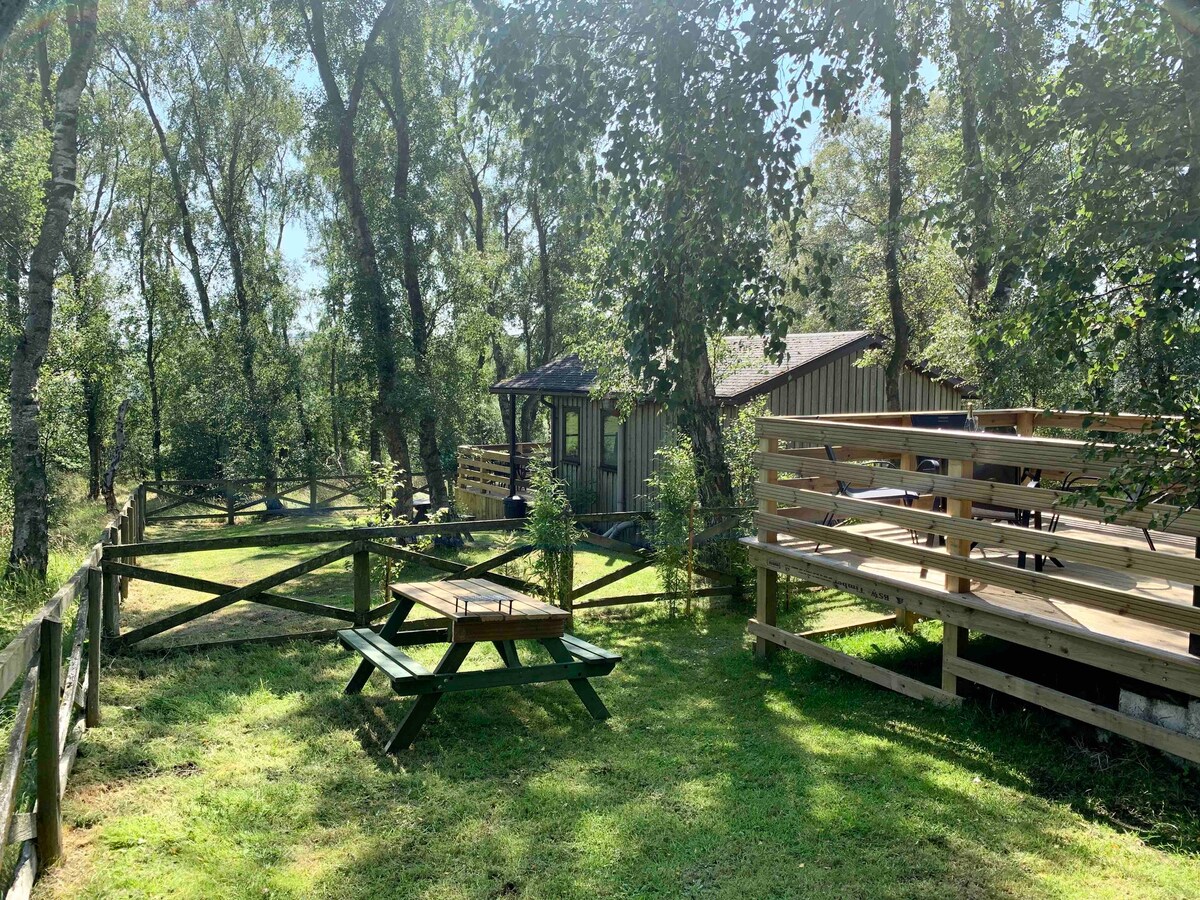 Birch Lodge - West Hoppyland Lodges