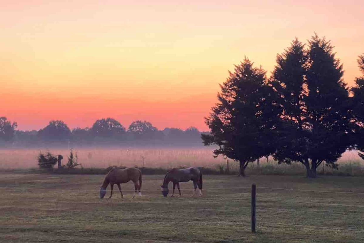 Horse Farm Haven