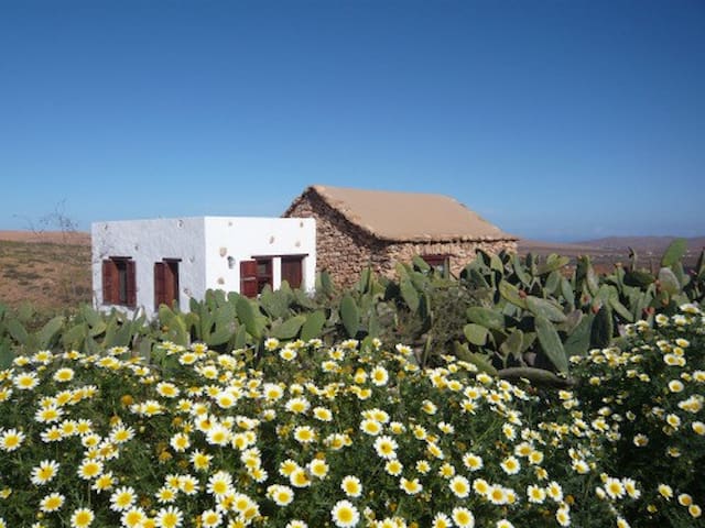 富埃特文图拉岛 （Fuerteventura）的民宿