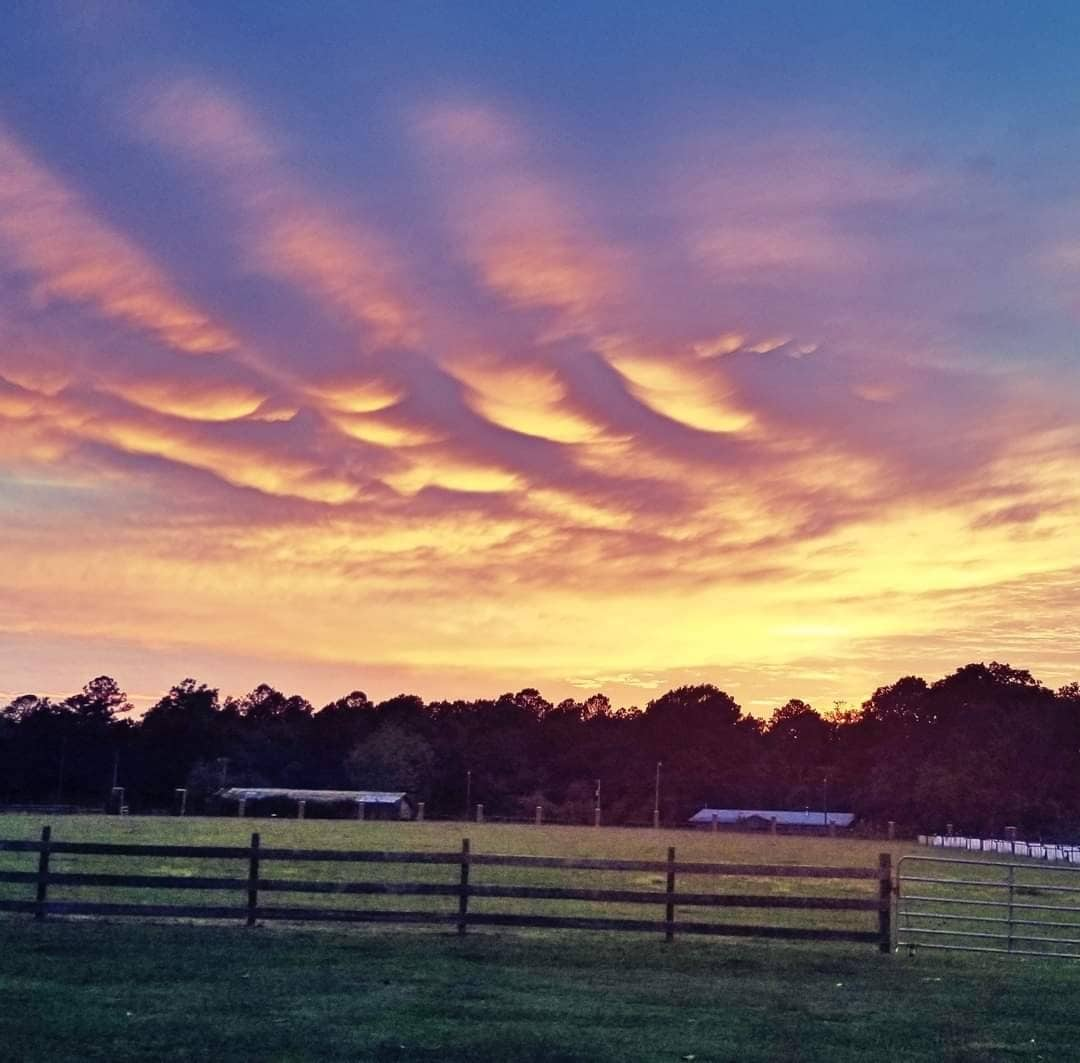 Painted Sky Homestead Apartment