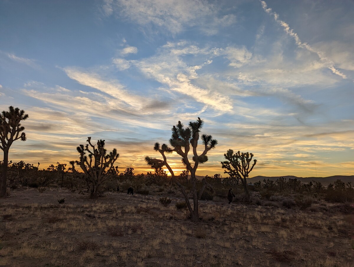 Rustic AZ Campsite near Kingman, LV, Grand Canyon