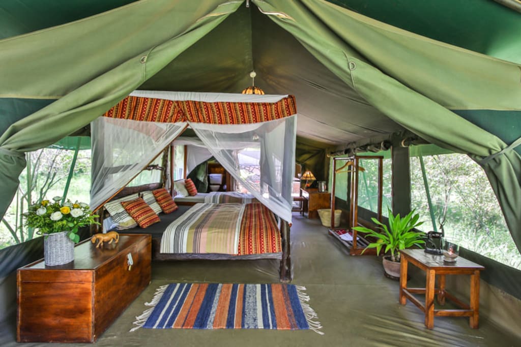 aruba camp-luxury tent masai mara /talek river