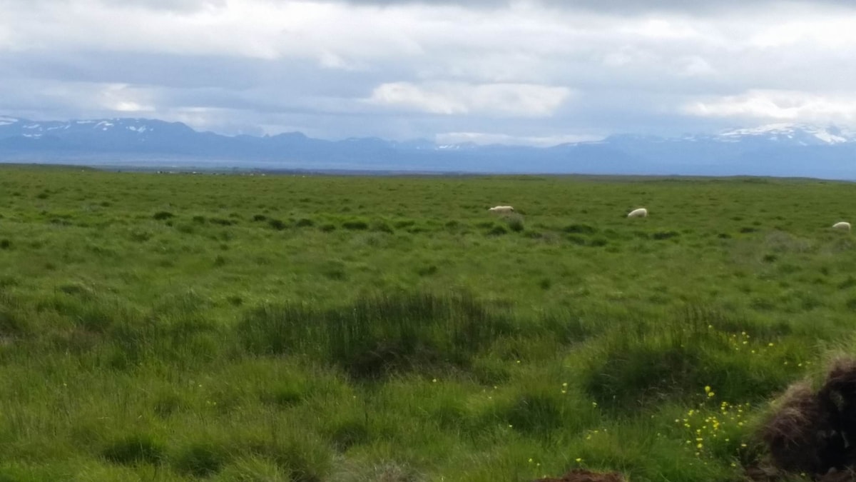 Hekla Cabin 1火山和冰川景观