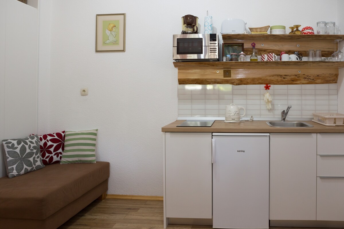 Plitvice Lacus单间公寓，可供2人入住，位于Korenica市中心