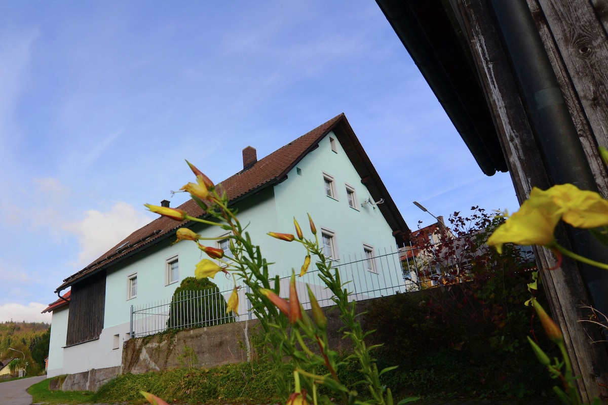 Cosy holiday home Palatinate Forest