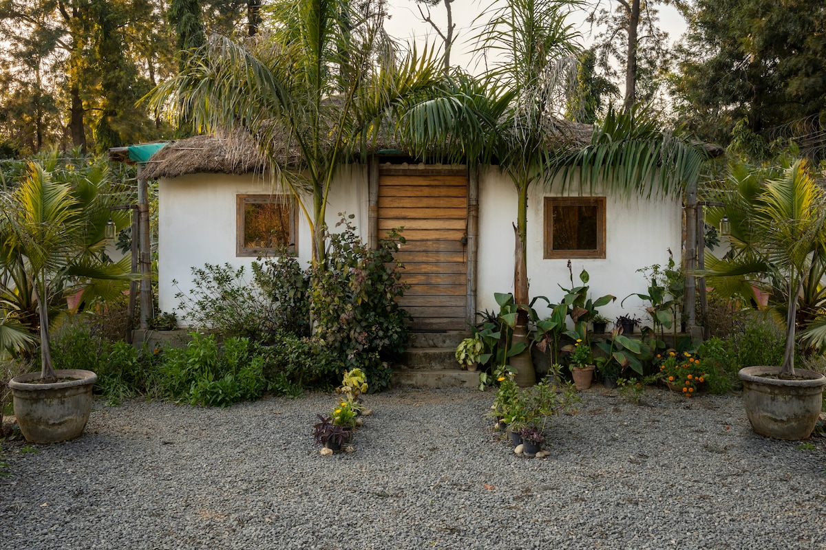 The Barn - A Farm Cottage