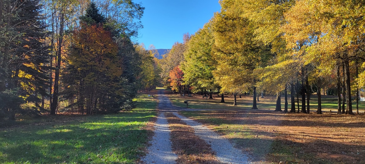 Spacious, secluded 4 bedroom mountain retreat