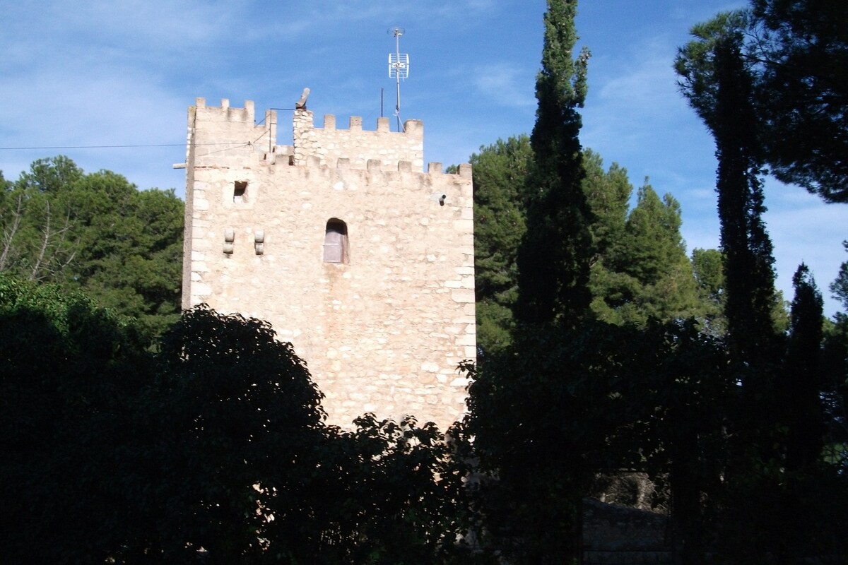 海边的中世纪防御塔
