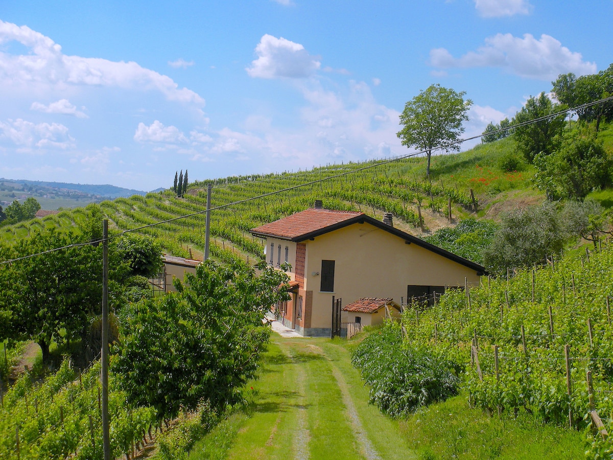 Cascina in the midineards NizzaMonferrato