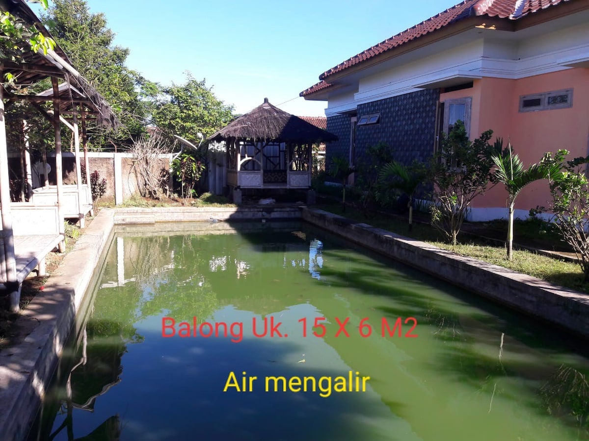 Sukabumi市带钓鱼池的大型舒适房源