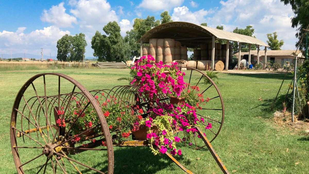 AGRITURISMO 3 e 4:Vacanze a contatto con la natura