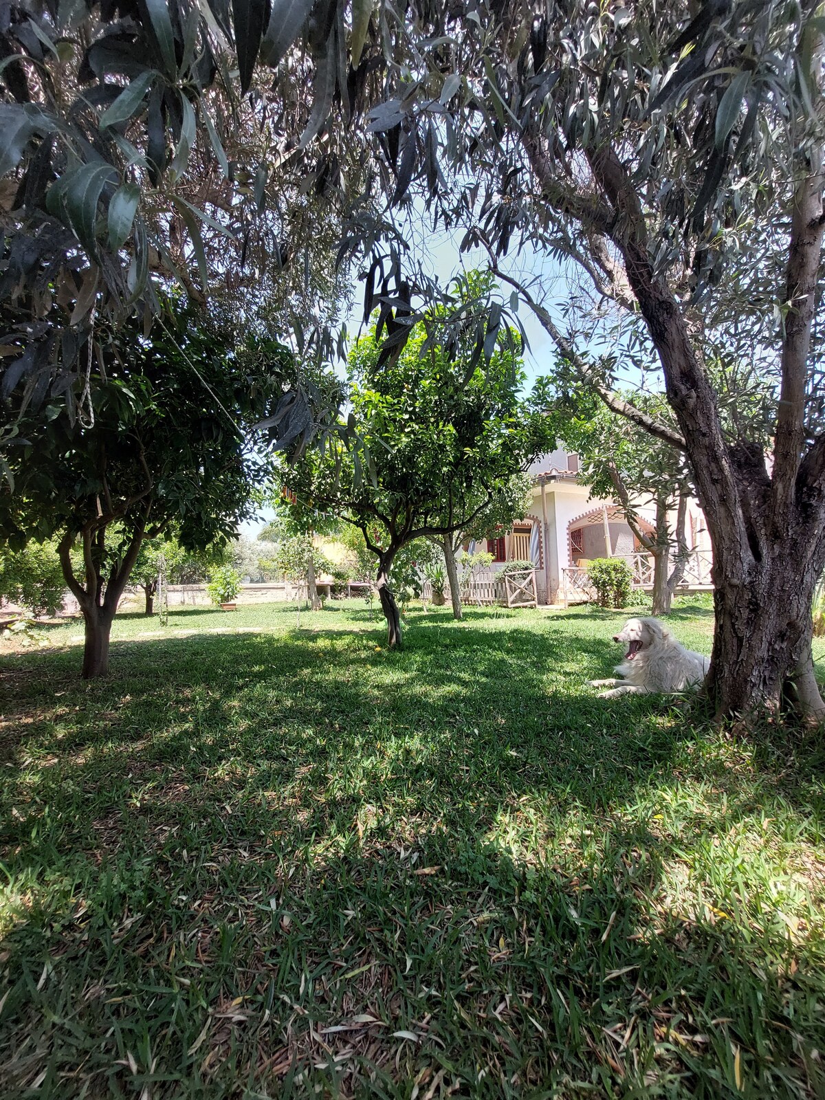 Villa Ettore isola