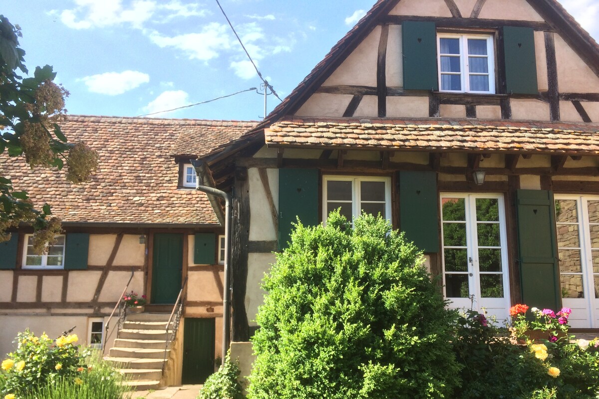 Gîte Alsace Les Chotzi 's