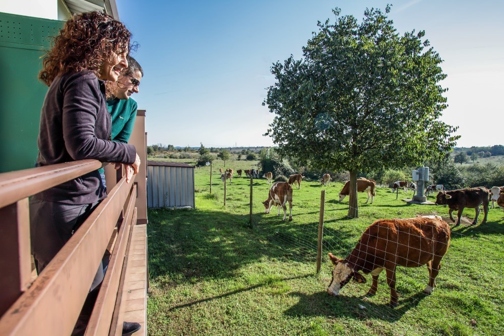 Un posto unico in farm stay