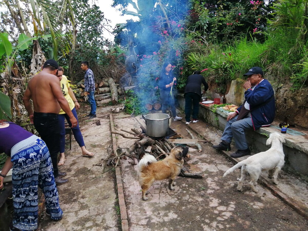 Habitación baño privado, paseos ecológicos, río.