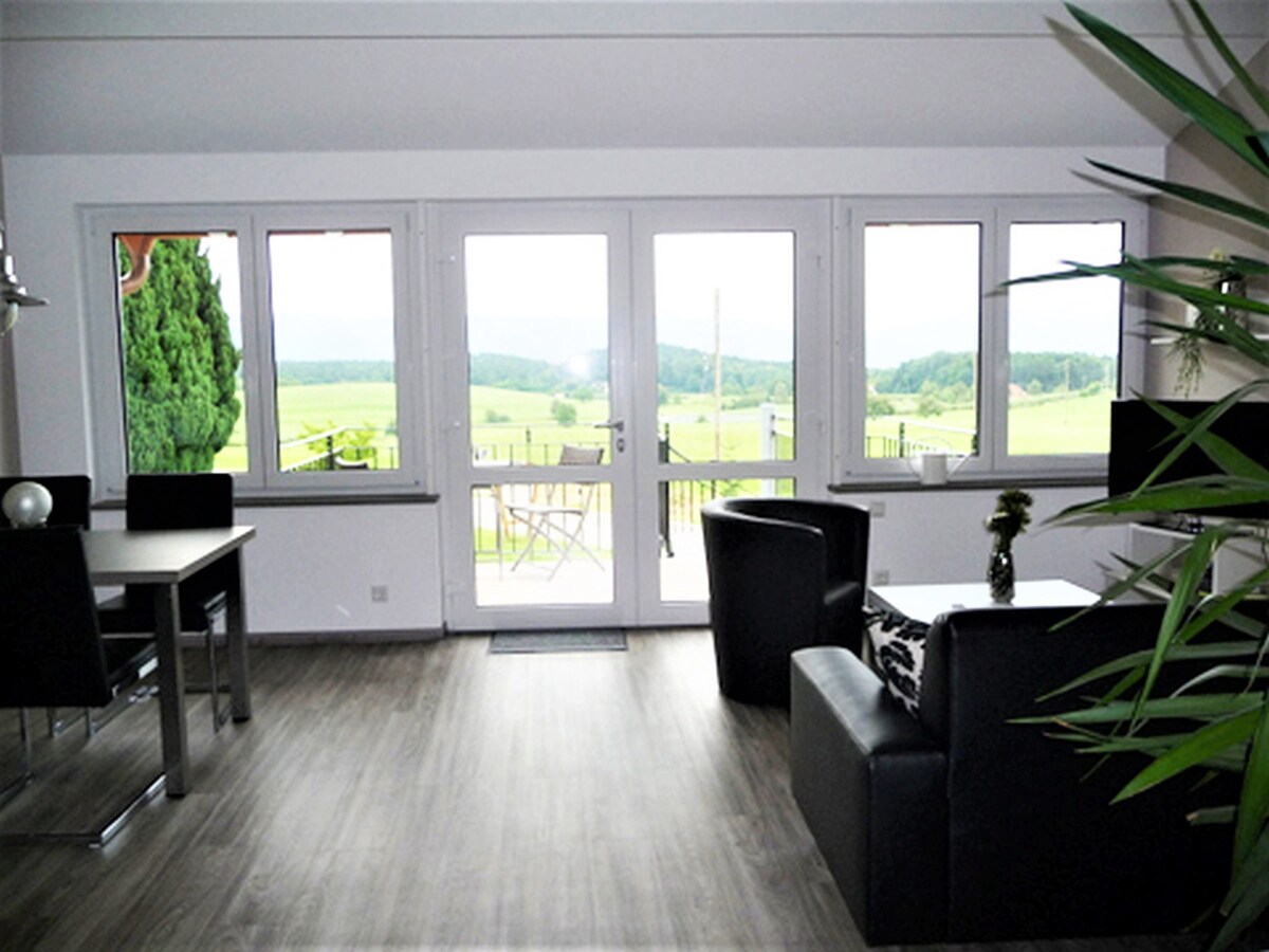 Gästehaus Reischmann ， （ Lindau am Bodensee ） ，度假公寓全景， 55平方米， 1间卧室，最多入住3人