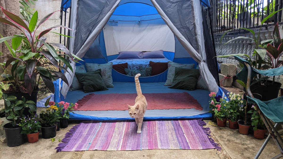 Rincón Glamping Hideaway and Cat Sanctuary
