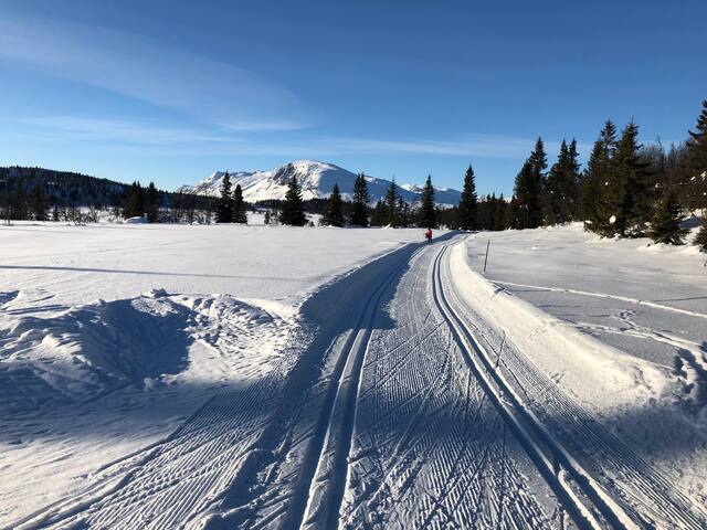 Hemsedal kommune的民宿