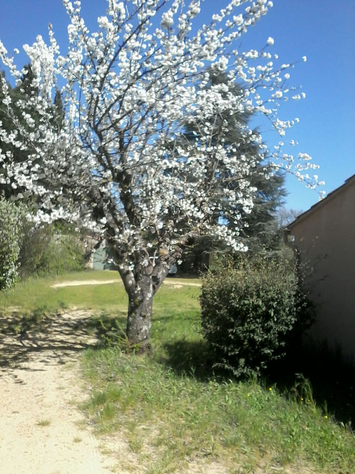 探索Luberon Lourmarin