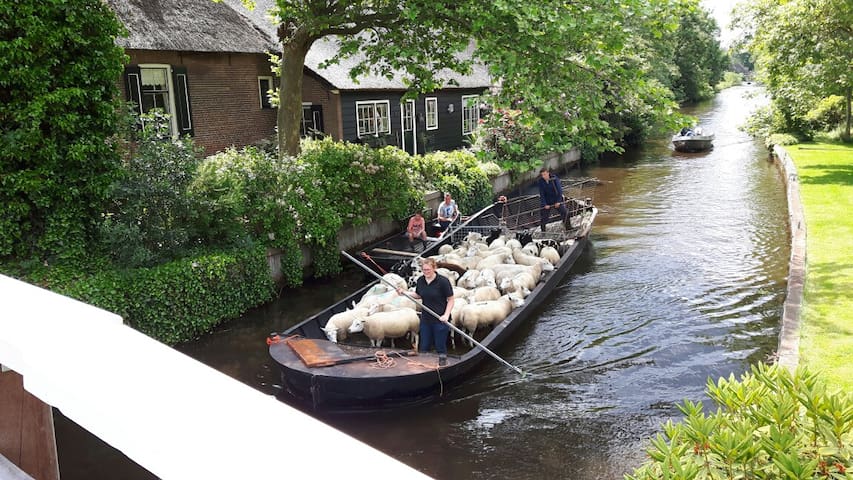 羊角村(Giethoorn)的民宿